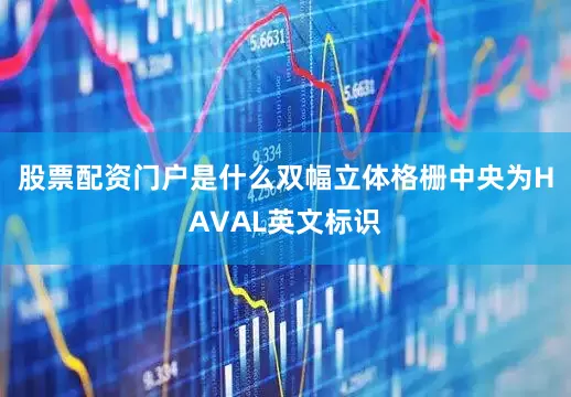 股票配资门户是什么双幅立体格栅中央为HAVAL英文标识