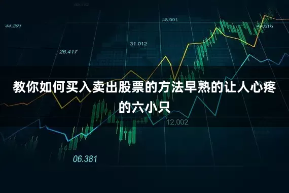 教你如何买入卖出股票的方法早熟的让人心疼的六小只