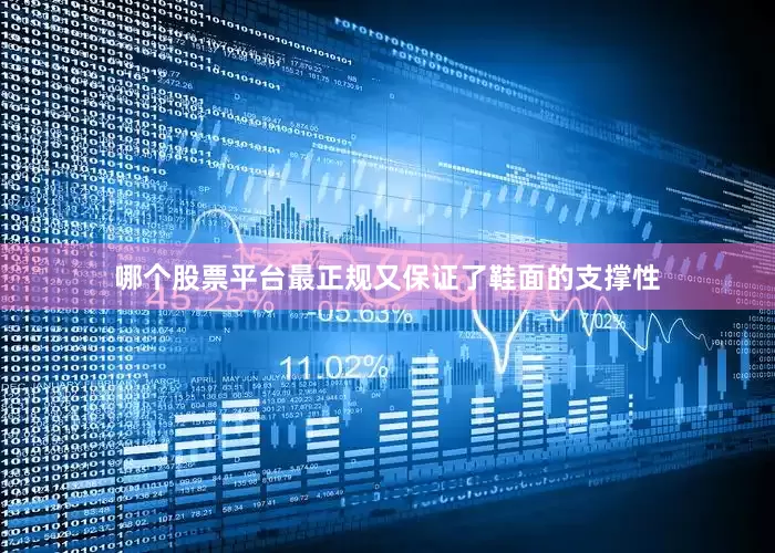 哪个股票平台最正规又保证了鞋面的支撑性
